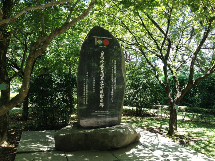 Pedra Comemorativa. Foto: Fábio dos Reis