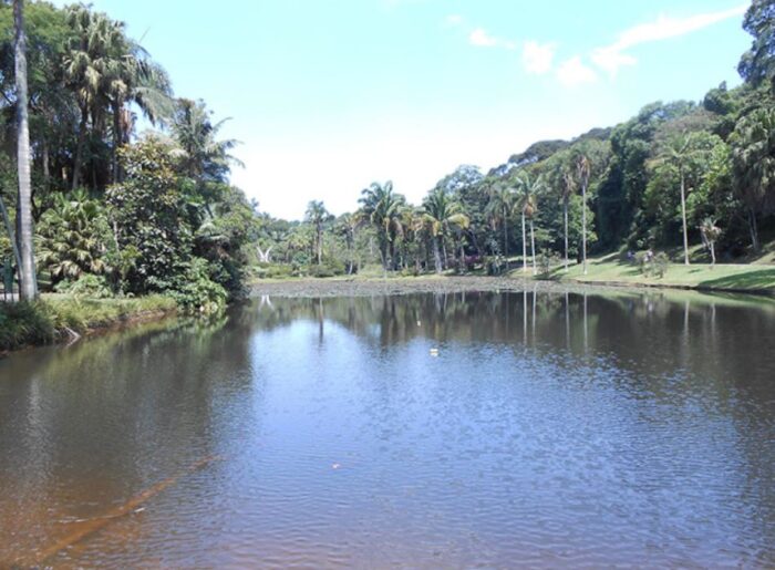 Jardim Botânico de São Paulo - Lago