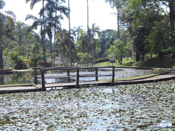 Jardim Botânico de São Paulo - Lago das Ninféias