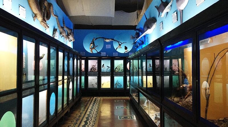 Sala Principal do Museu Zoológico de Montevidéu - Uruguai