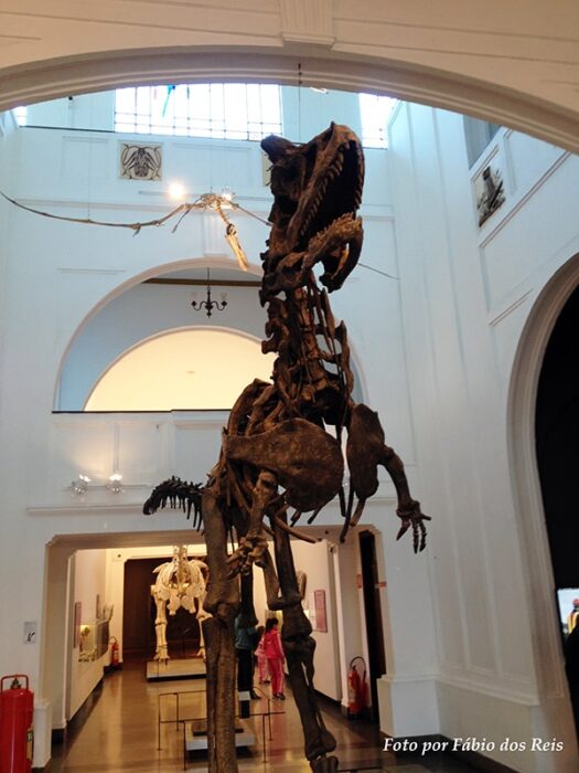 Tyranosaurus rex no museu de zoologia da Universidade de São Paulo