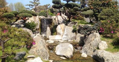 Cascata no Jardim Japonês