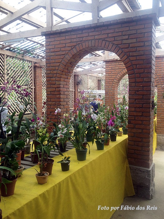 Feira de Orquídeas no Orquidário de Santos