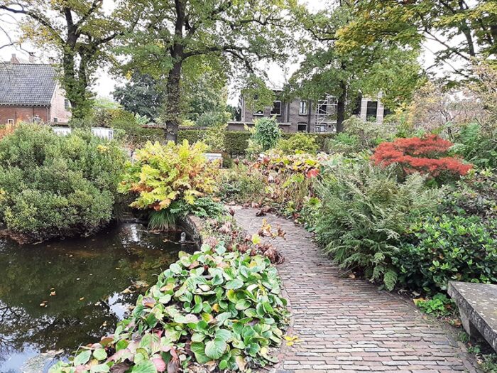 Caminho no Hortus Botanicus Leiden - Holanda