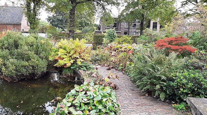 Caminho no Hortus Botanicus Leiden - Holanda
