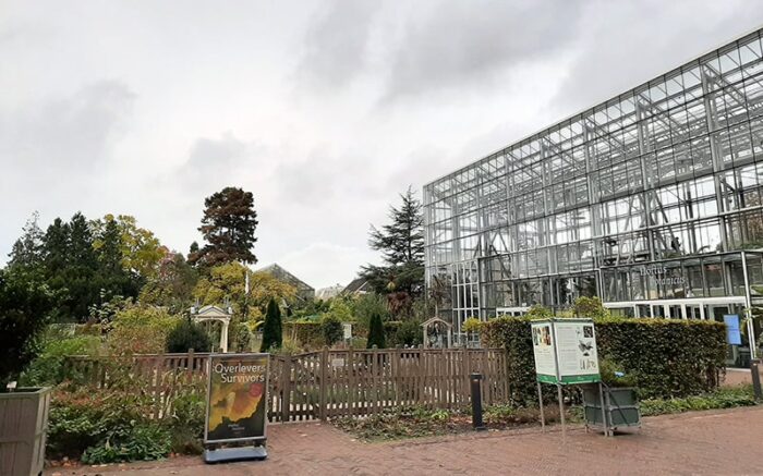 Pátio de entrada do Hortus Botanicus, com o Jardim de Inverno à direita