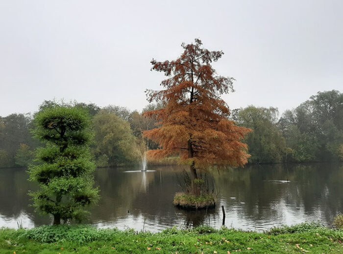 Árvores no lago principal do Amstelpark