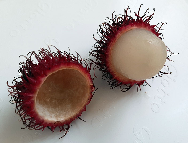 Rambutan - Um delicioso parente da Lichia - Diário do Naturalista