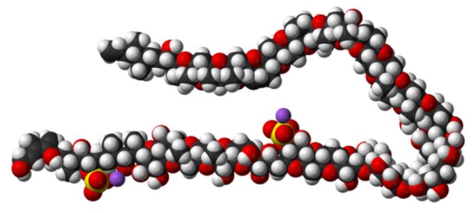 Molécula da maitotoxina