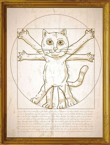 Gato de Vitrúvio - Ilustração por Leo Cardini