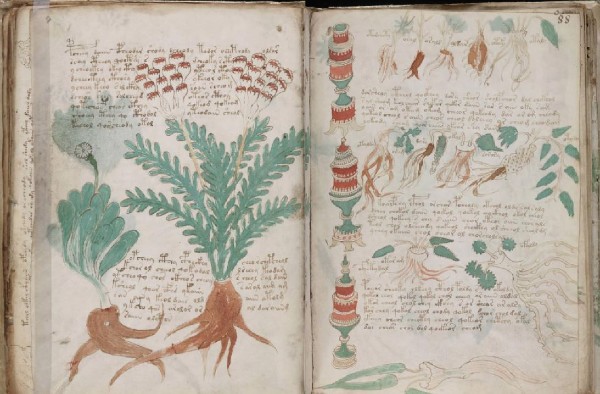 Páginas do Manuscrito Voynich, um dos livros mais misteriosos já escritos.