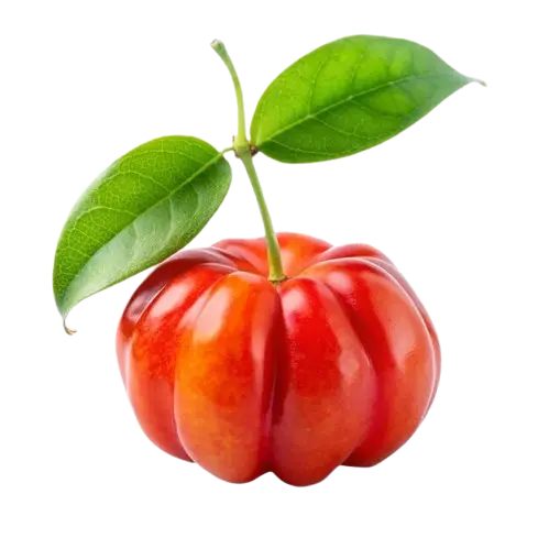 Pitanga madura Pitanga madura