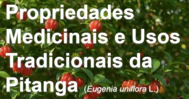 Propriedades medicinais da Pitanga
