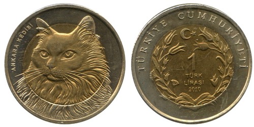 Moeda de 1 Lira Turca de 2010, Gato Angorá